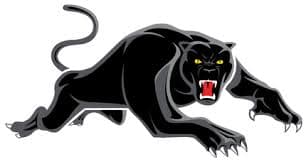 #30 Penrith Panthers image