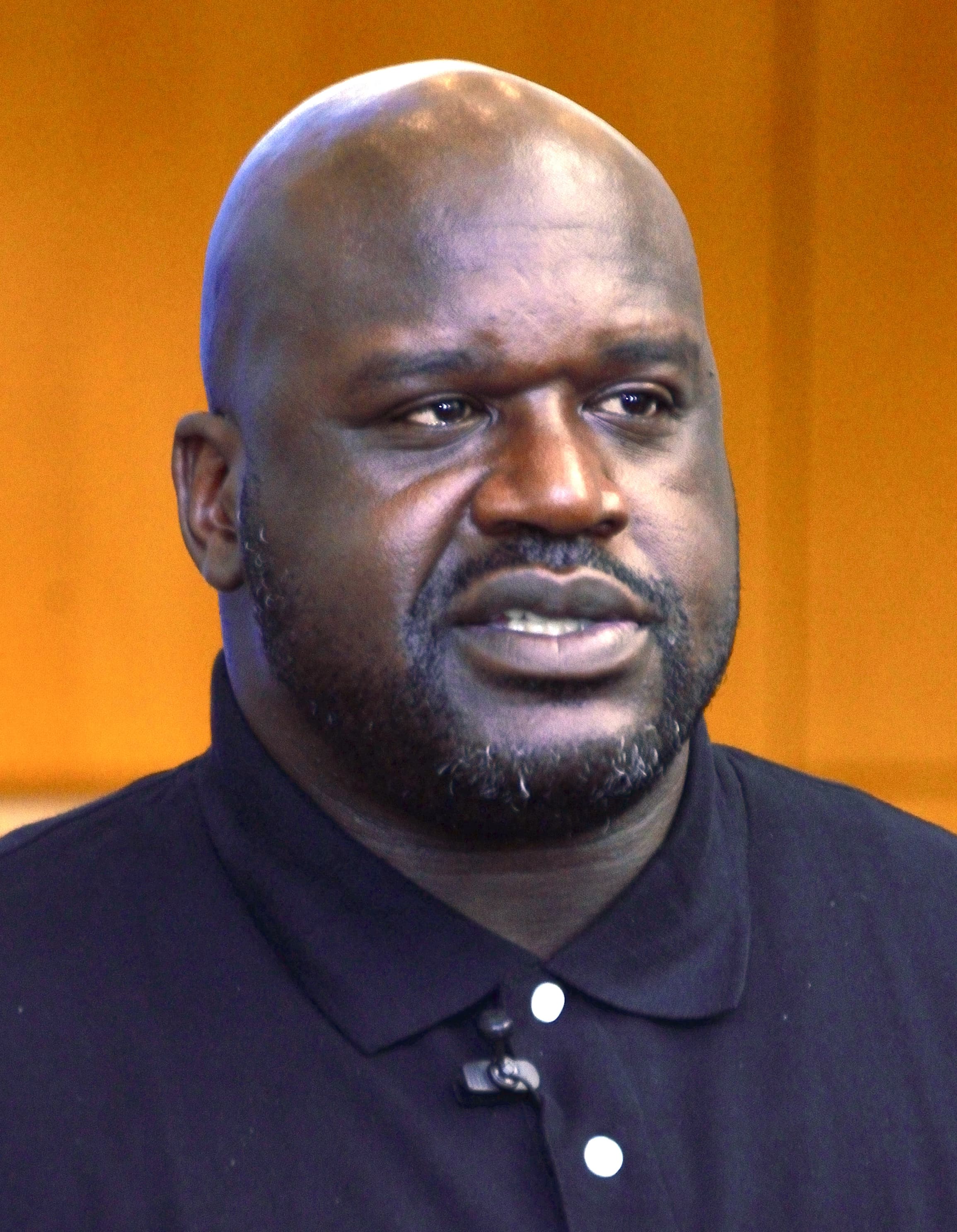 #17 Shaquille O'Neal image