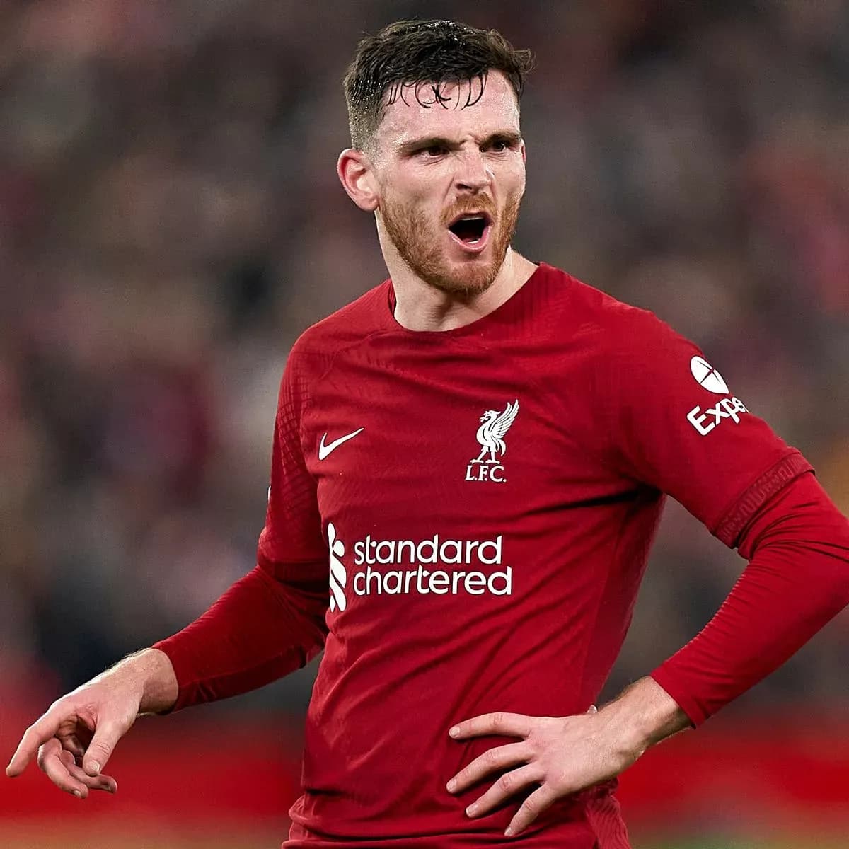 Andrew Robertson image