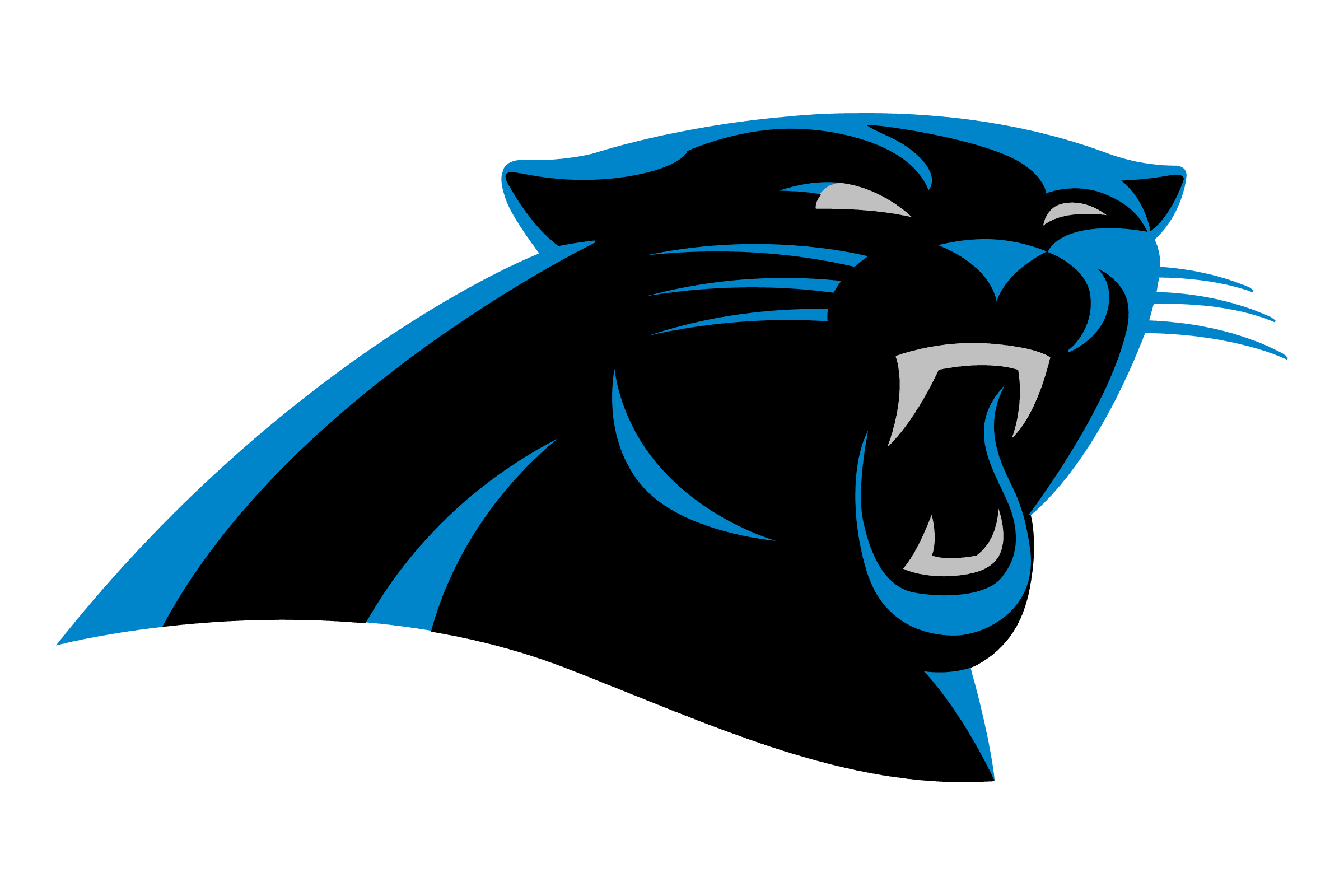 Carolina Panthers image