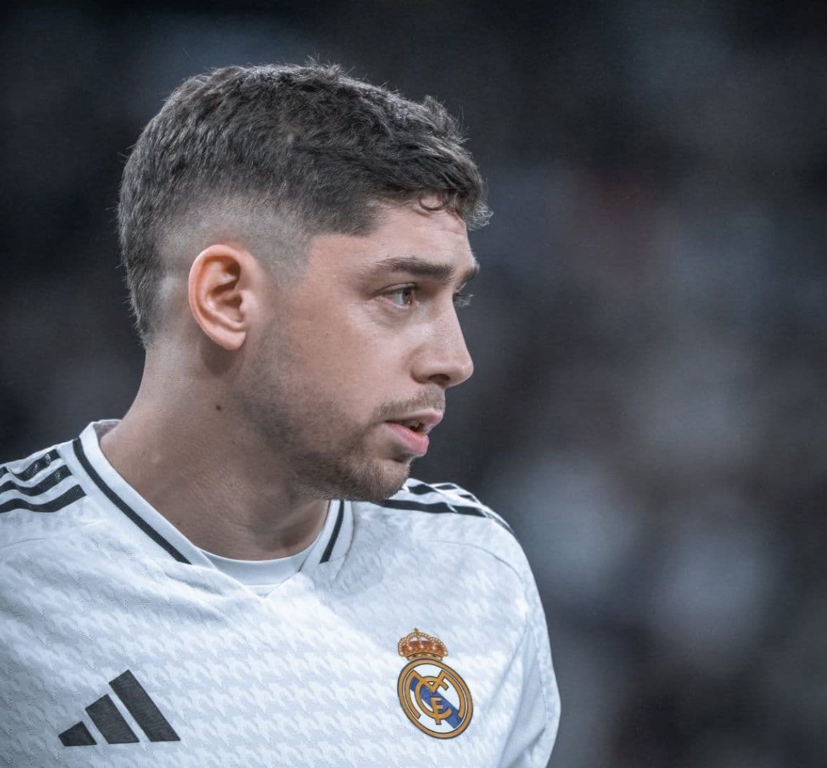Fede Valverde image