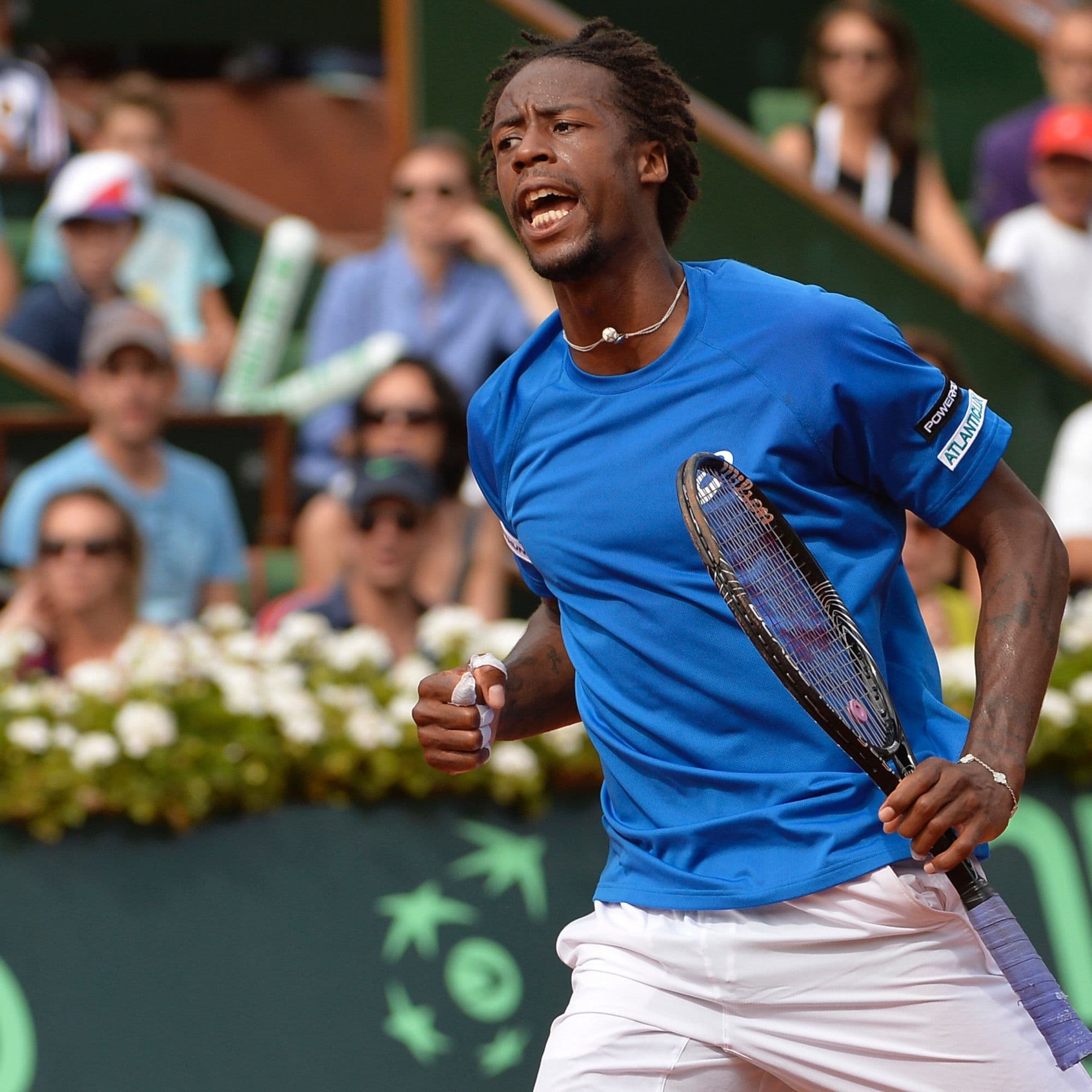 Gael Monfils image