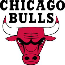 Chicago Bulls image