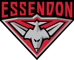 Essendon Football Club image