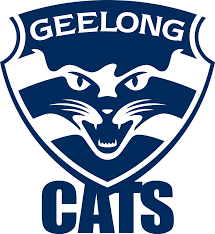 Geelong Football Club image