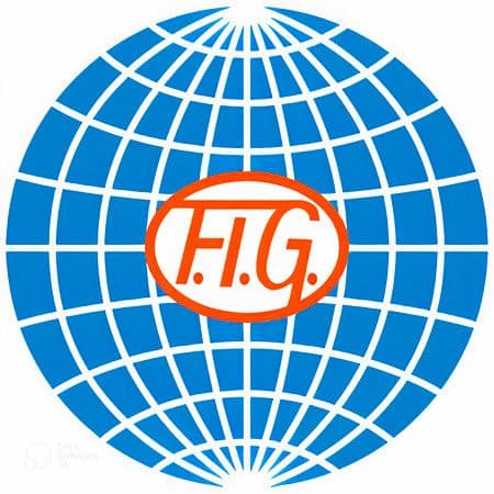 International Federation of Gymnastics image
