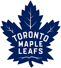 Vancouver Canucks image